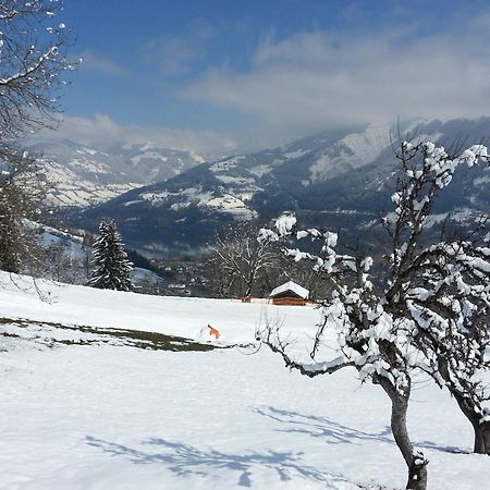 Ferienwohnung Mitterleithengut Zell am See Eksteriør bilde