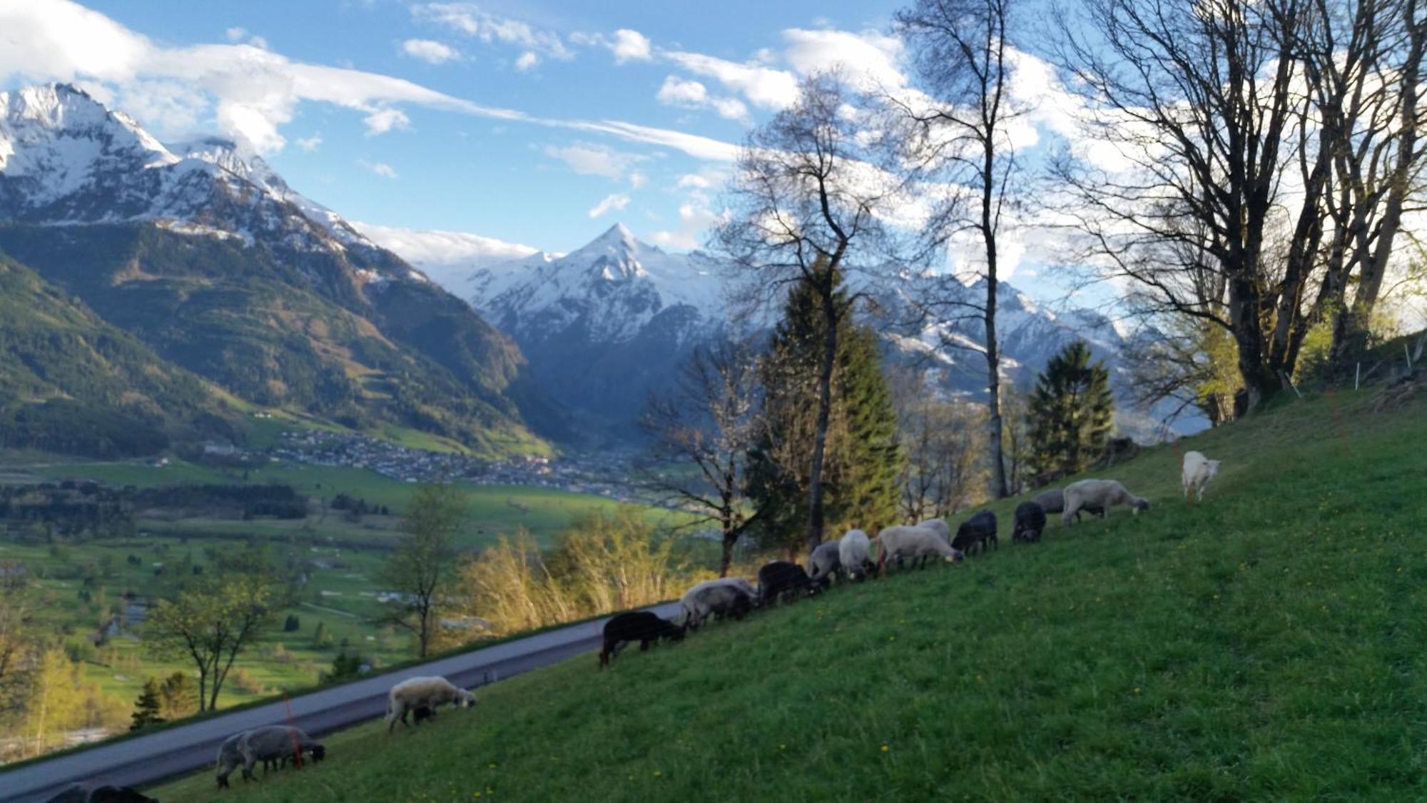 Ferienwohnung Mitterleithengut Zell am See Eksteriør bilde