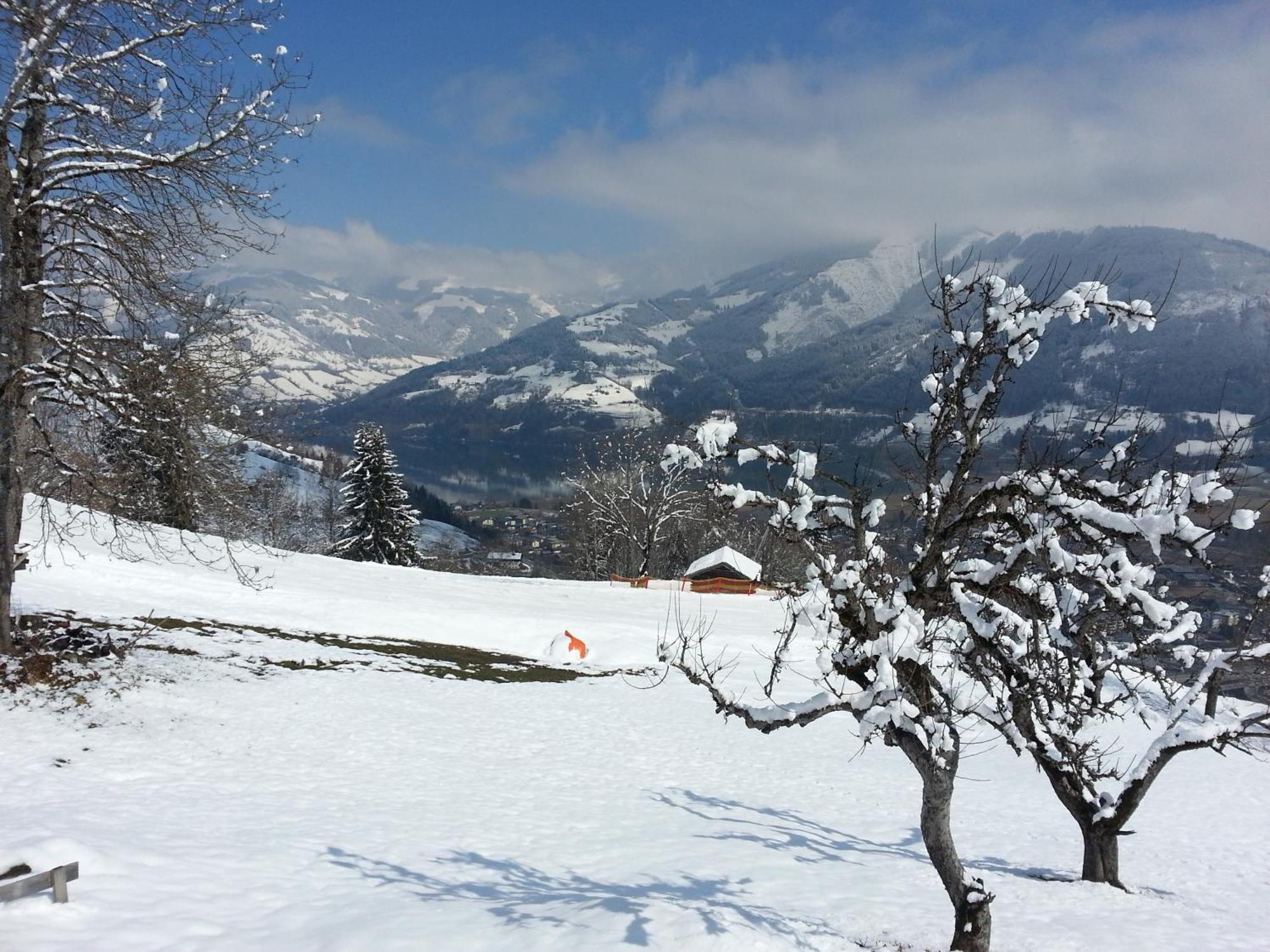 Ferienwohnung Mitterleithengut Zell am See Eksteriør bilde