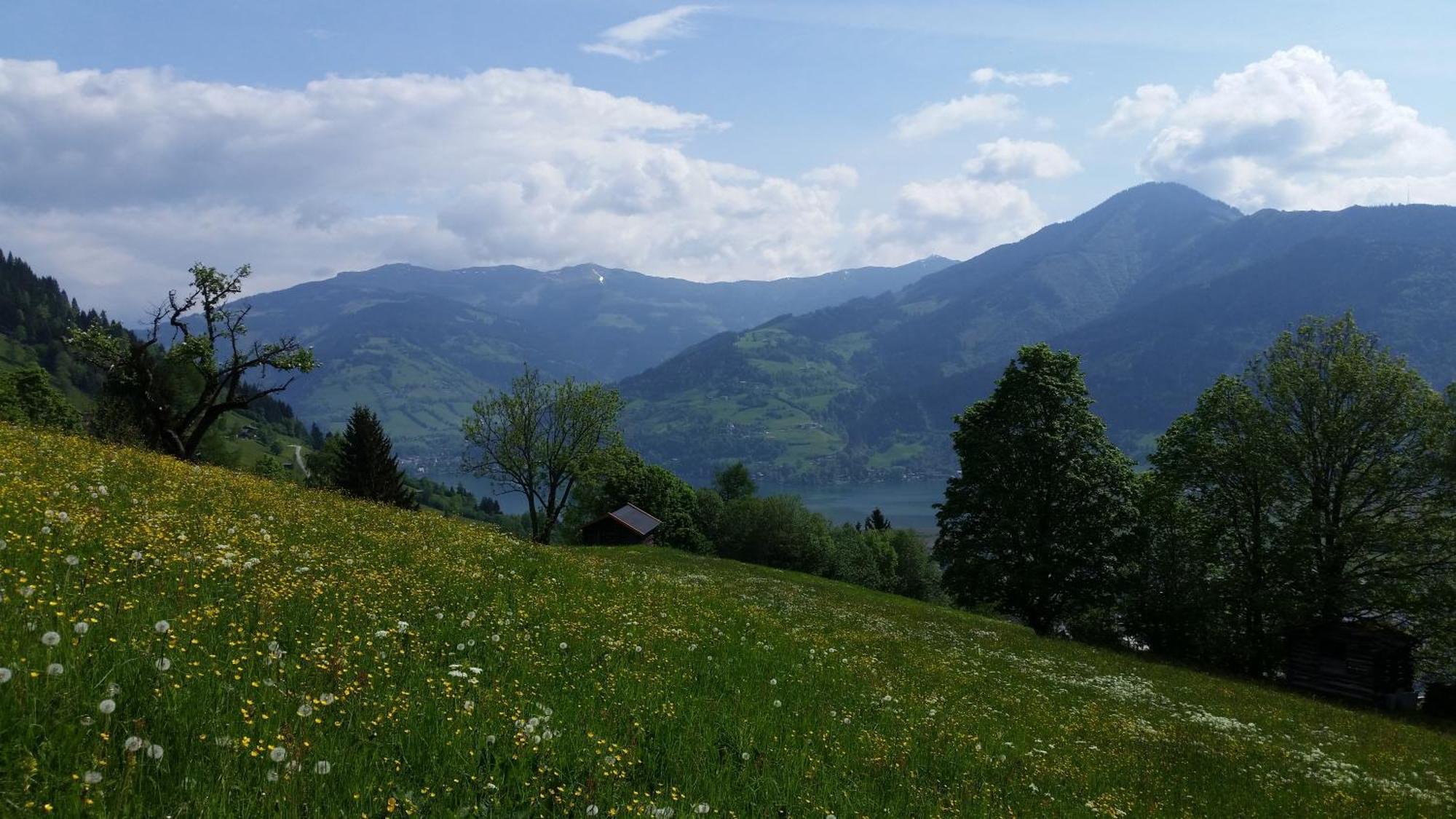 Ferienwohnung Mitterleithengut Zell am See Eksteriør bilde
