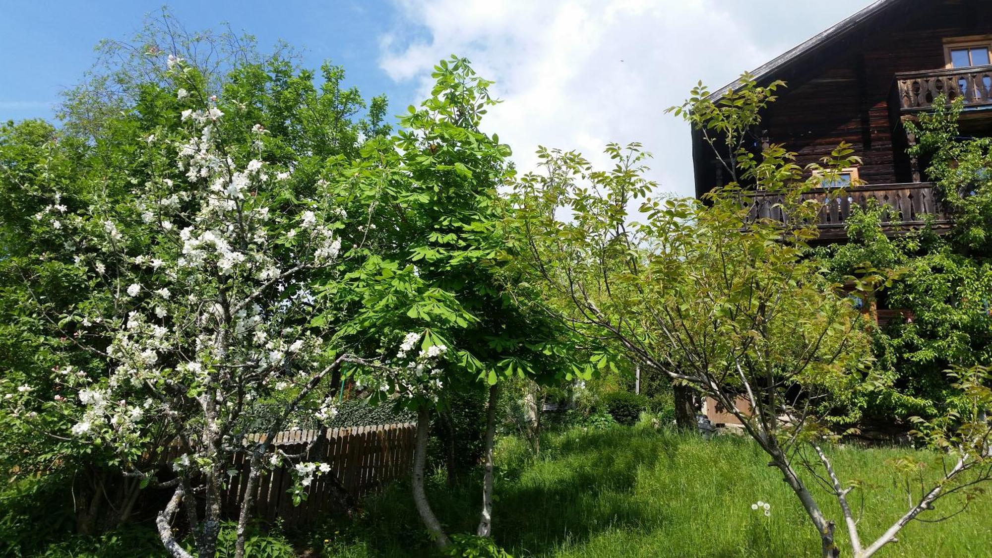 Ferienwohnung Mitterleithengut Zell am See Eksteriør bilde